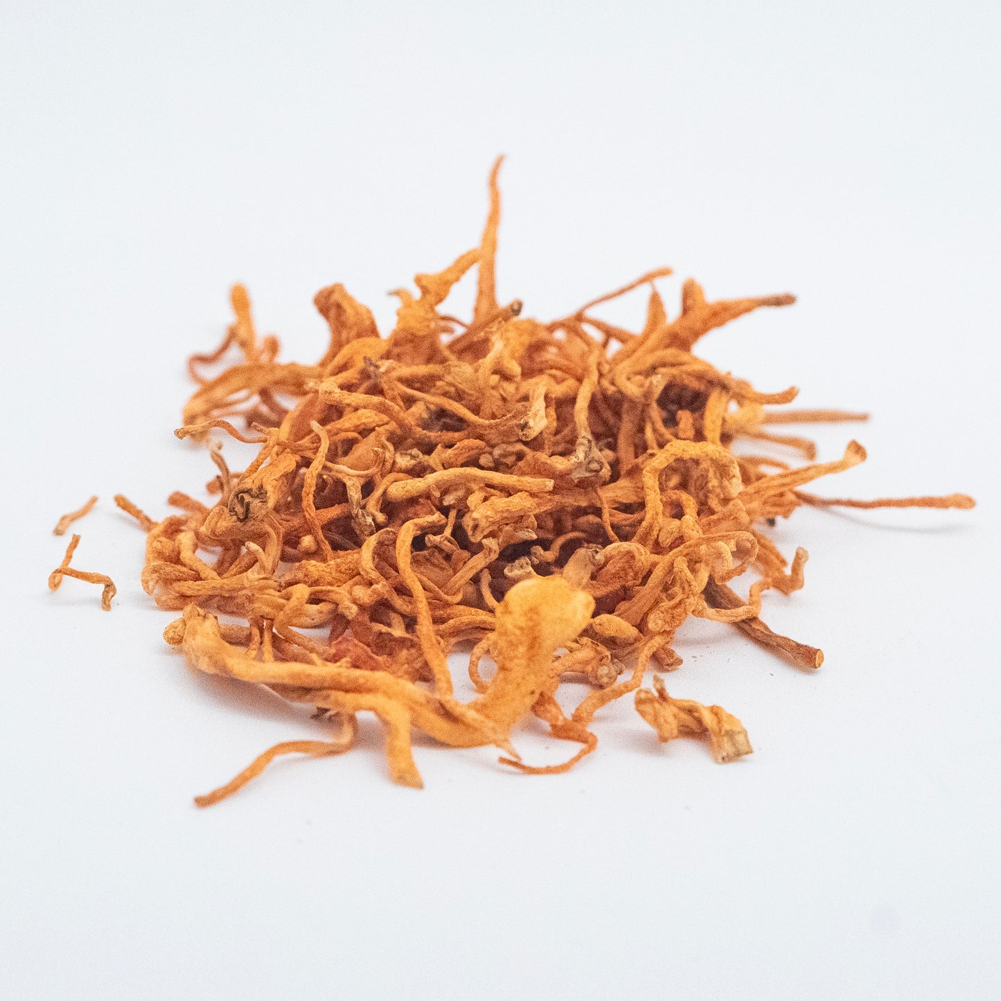 
                  
                    Organic Dried Cordyceps
                  
                